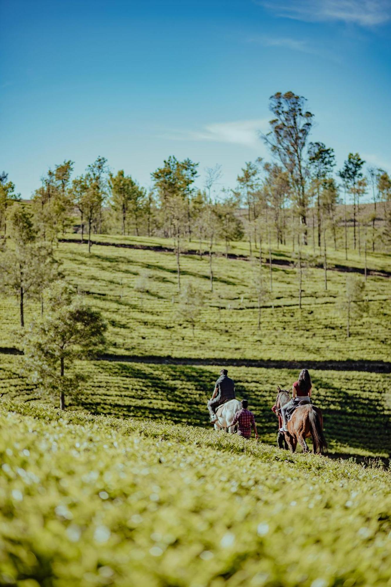 Green Nest Resort Ooty Kotagiri Εξωτερικό φωτογραφία