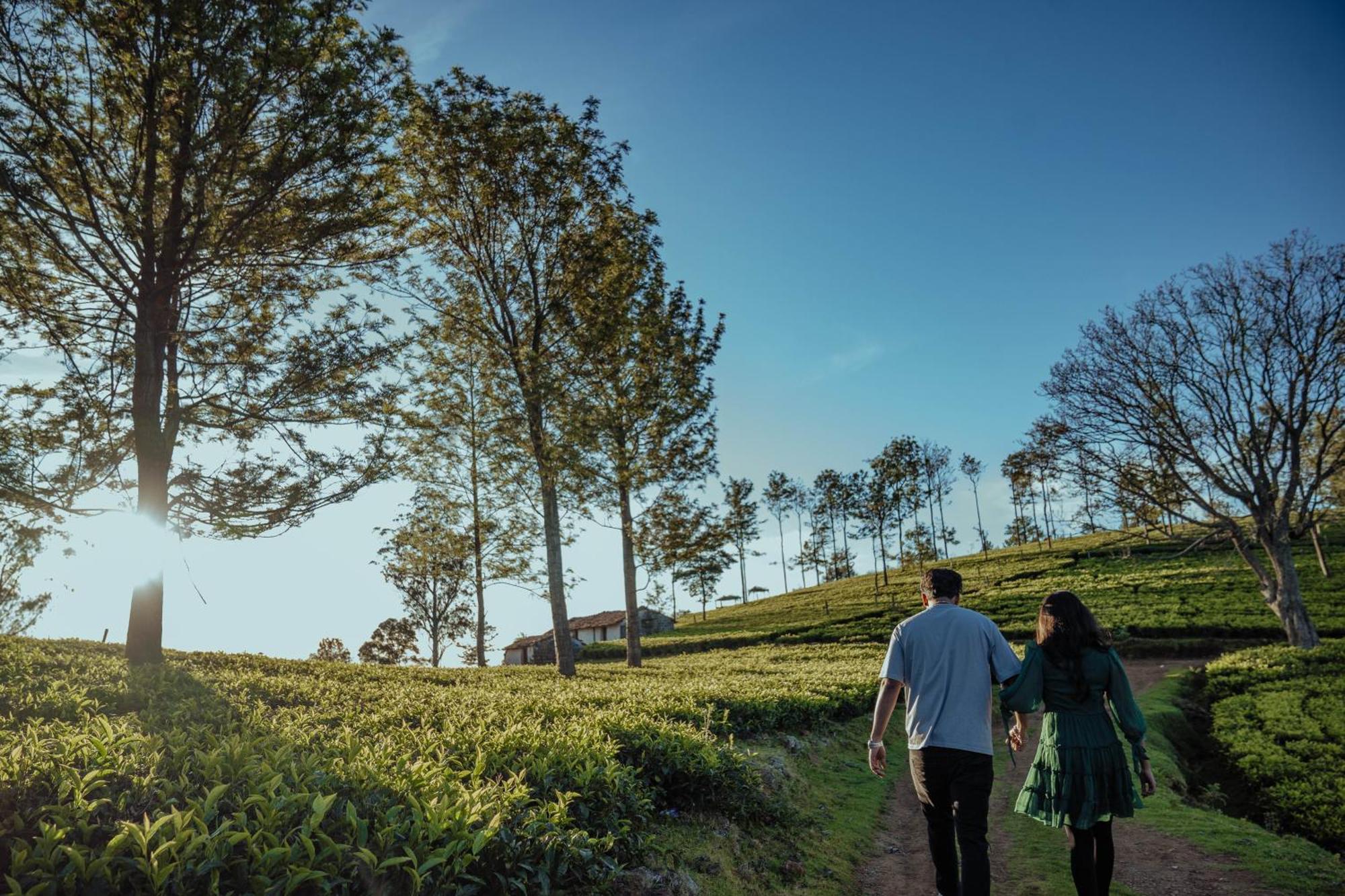 Green Nest Resort Ooty Kotagiri Εξωτερικό φωτογραφία