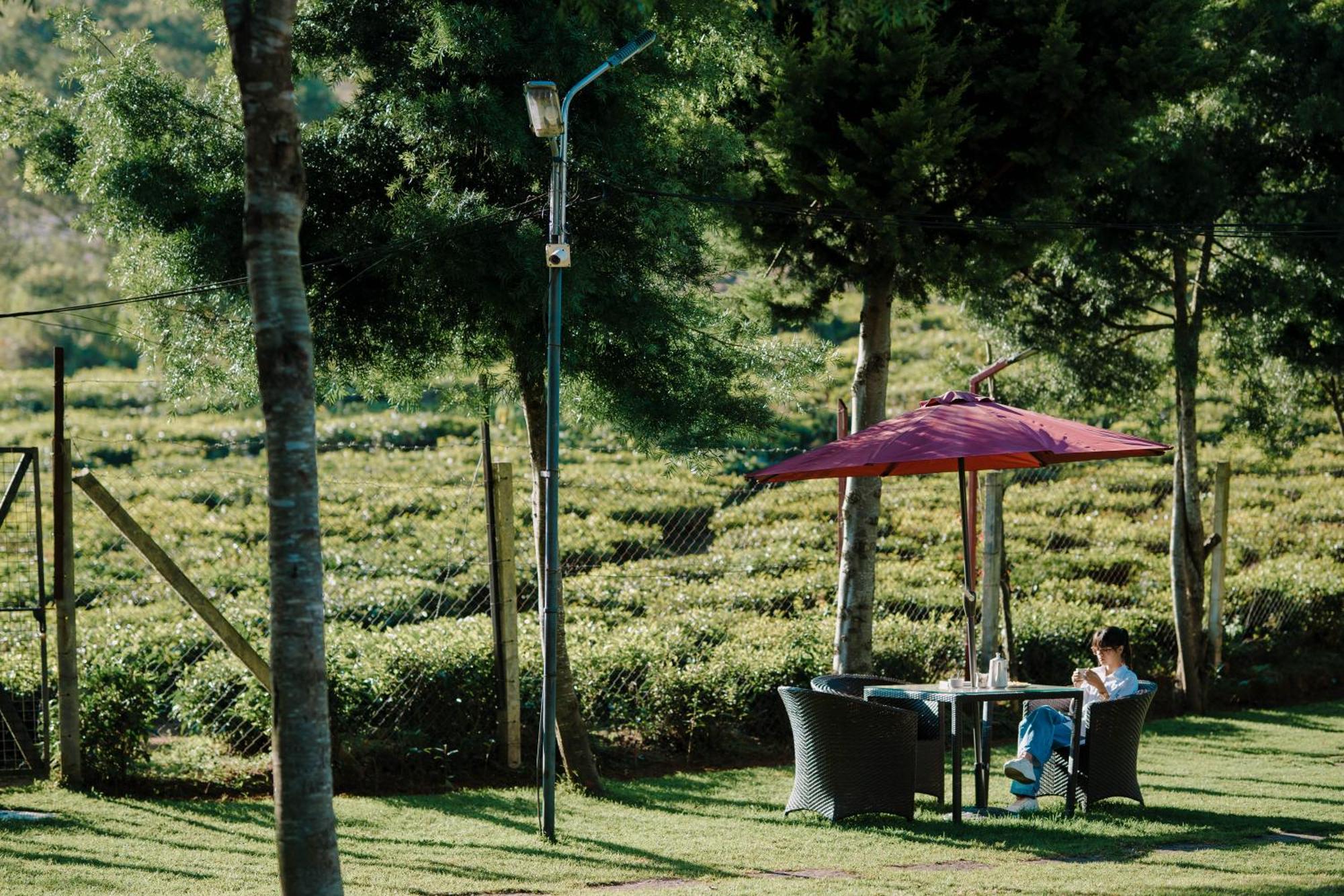 Green Nest Resort Ooty Kotagiri Εξωτερικό φωτογραφία