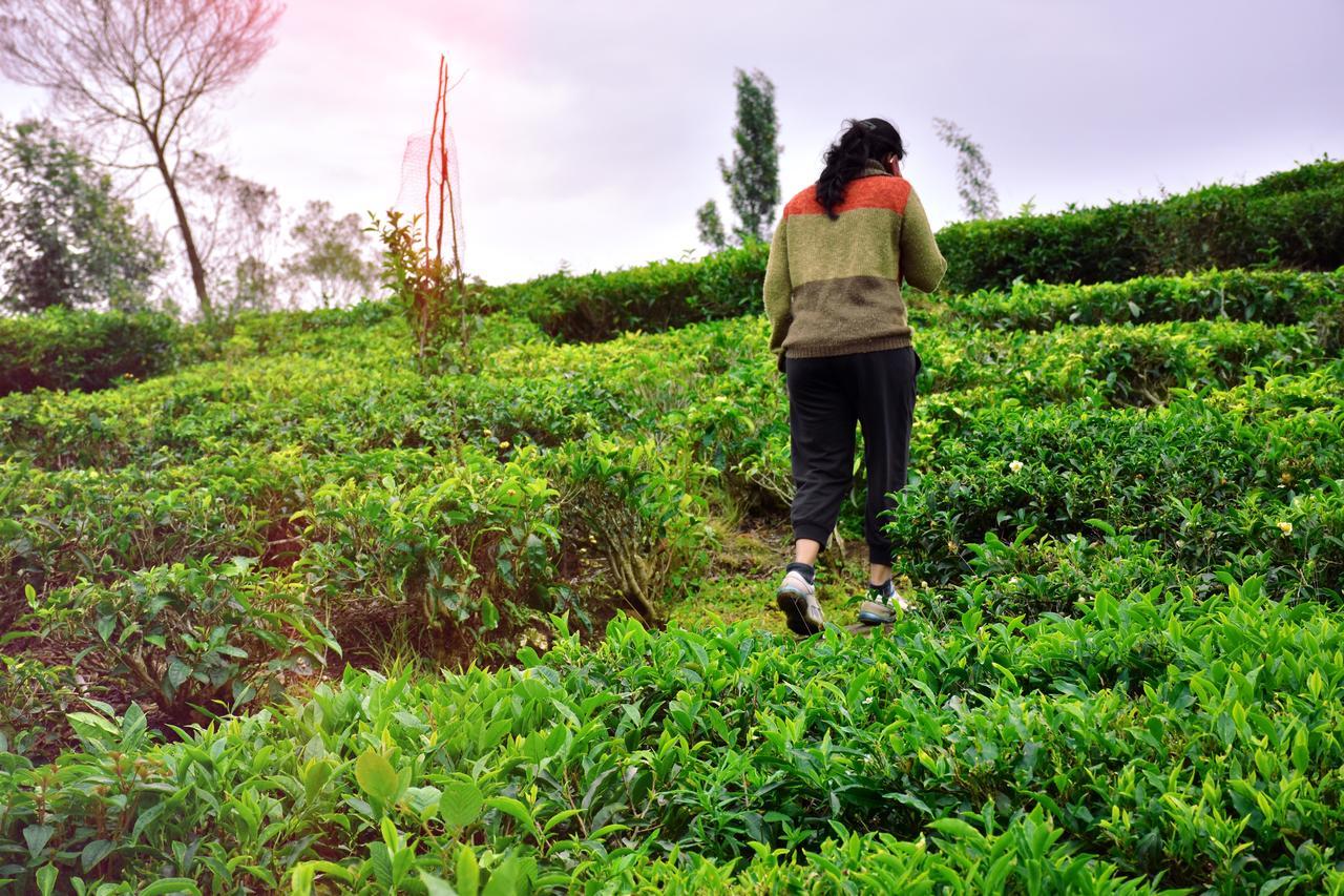 Green Nest Resort Ooty Kotagiri Εξωτερικό φωτογραφία